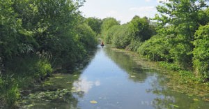 Grün, grüner, am grünsten