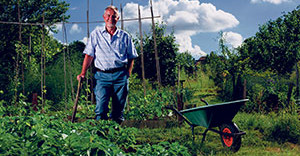 Seniorengerechter Garten