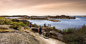 Eine Inselwelt vor der Haustür